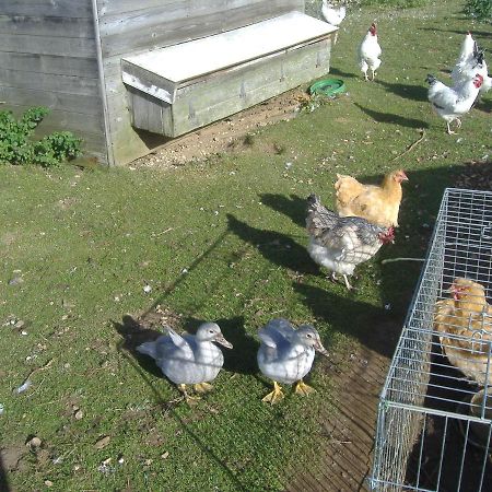 South Moor Farm Bed and Breakfast Scarborough Buitenkant foto
