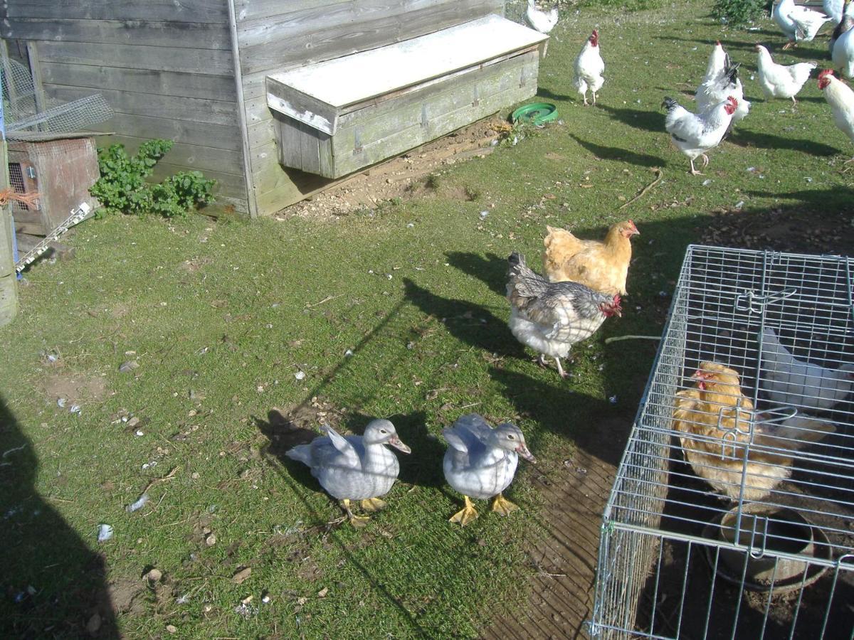 South Moor Farm Bed and Breakfast Scarborough Buitenkant foto